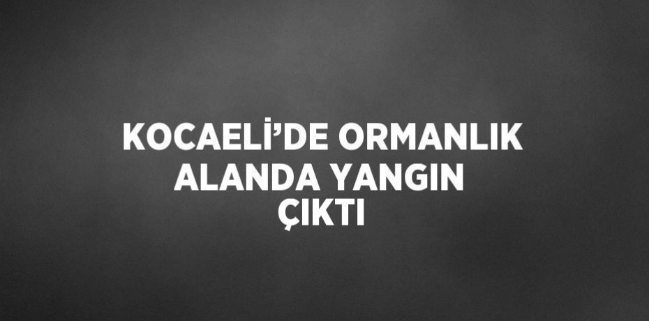KOCAELİ’DE ORMANLIK ALANDA YANGIN ÇIKTI KOCAELİ’DE ORMANLIK ALANDA YANGIN ÇIKTI