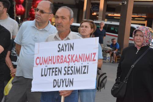 Haber Resim Galeri