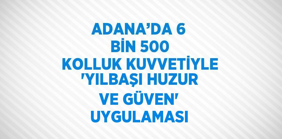 ADANA’DA 6 BİN 500 KOLLUK KUVVETİYLE 'YILBAŞI HUZUR VE GÜVEN' UYGULAMASI