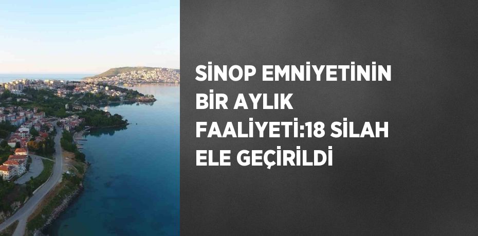 SİNOP EMNİYETİNİN BİR AYLIK FAALİYETİ:18 SİLAH ELE GEÇİRİLDİ