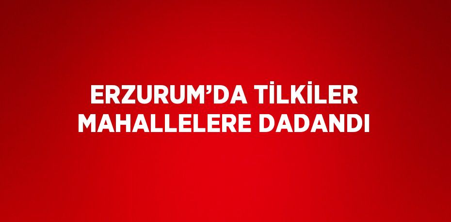 ERZURUM’DA TİLKİLER MAHALLELERE DADANDI