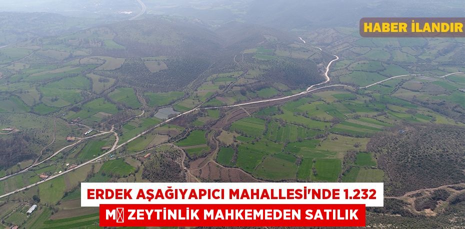 Erdek Aşağıyapıcı Mahallesi'nde 1.232 m² zeytinlik mahkemeden satılık