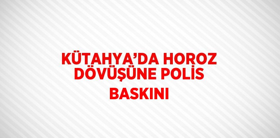 KÜTAHYA’DA HOROZ DÖVÜŞÜNE POLİS BASKINI