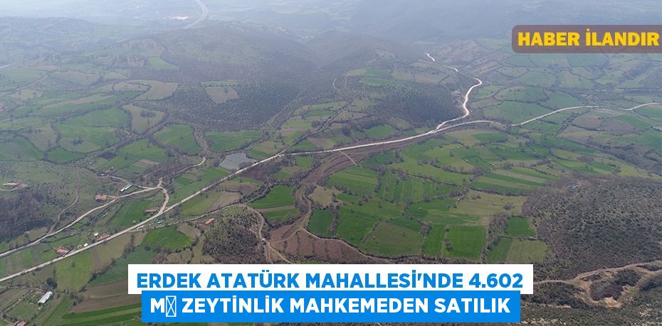 Erdek Atatürk Mahallesi'nde 4.602 m² zeytinlik mahkemeden satılık