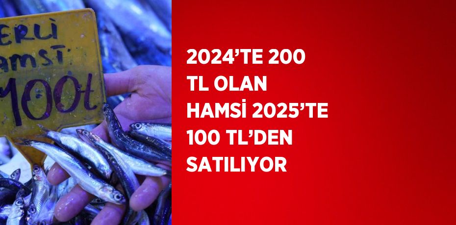 2024’TE 200 TL OLAN HAMSİ 2025’TE 100 TL’DEN SATILIYOR