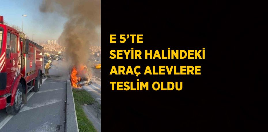 E 5’TE SEYİR HALİNDEKİ ARAÇ ALEVLERE TESLİM OLDU