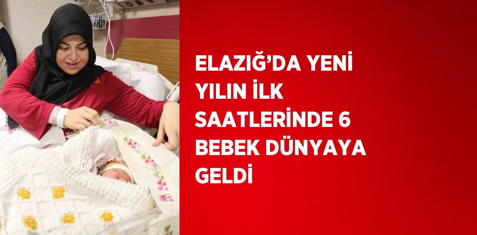 ELAZIĞ’DA YENİ YILIN İLK SAATLERİNDE 6 BEBEK DÜNYAYA GELDİ