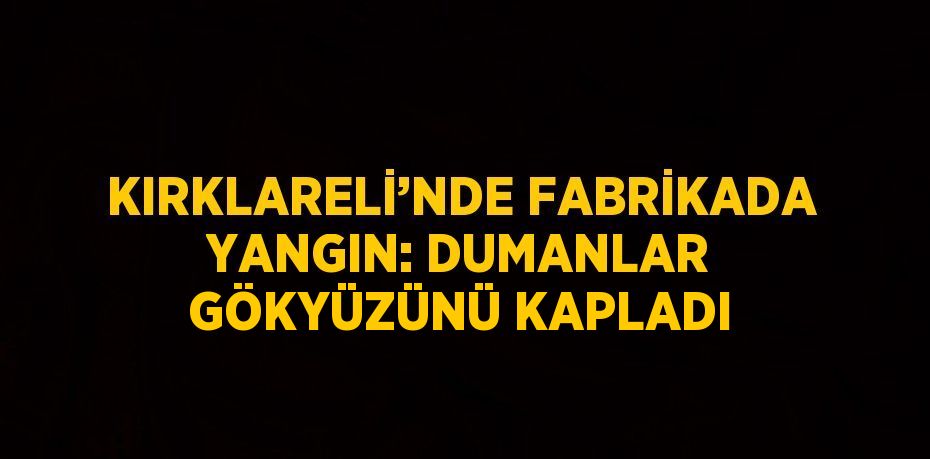 KIRKLARELİ’NDE FABRİKADA YANGIN: DUMANLAR GÖKYÜZÜNÜ KAPLADI