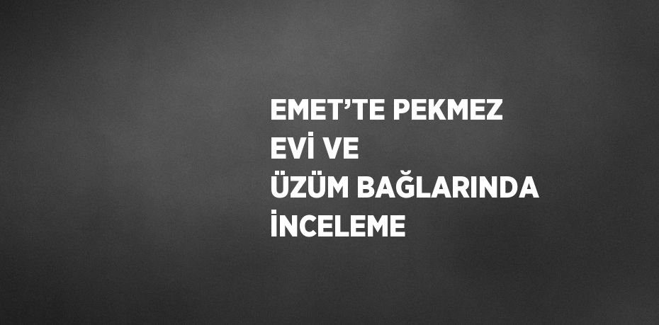 EMET’TE PEKMEZ EVİ VE ÜZÜM BAĞLARINDA İNCELEME