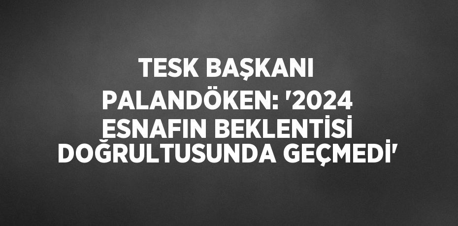 TESK BAŞKANI PALANDÖKEN: '2024 ESNAFIN BEKLENTİSİ DOĞRULTUSUNDA GEÇMEDİ'