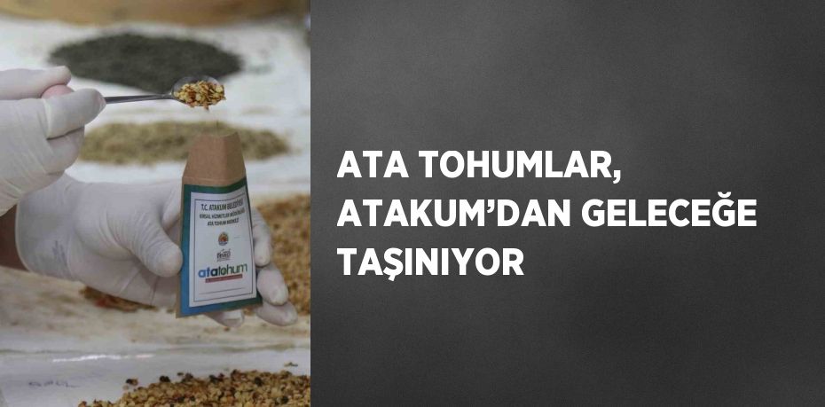 ATA TOHUMLAR, ATAKUM’DAN GELECEĞE TAŞINIYOR