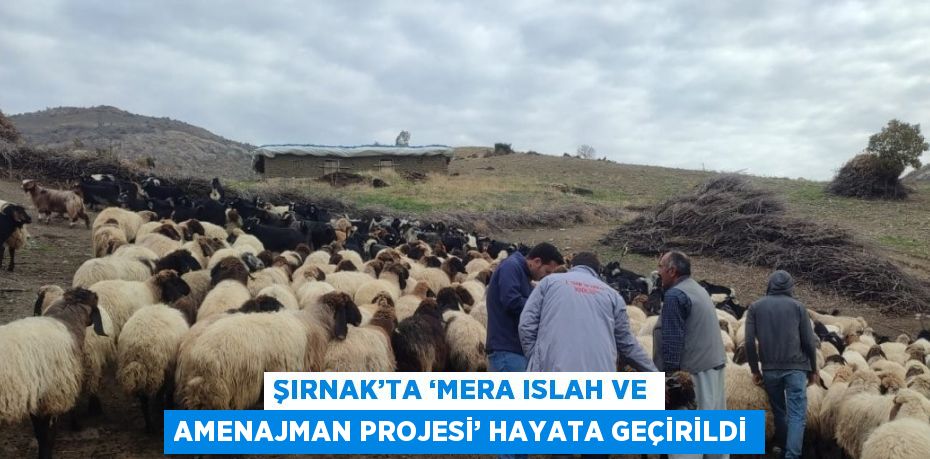 ŞIRNAK’TA ‘MERA ISLAH VE AMENAJMAN PROJESİ’ HAYATA GEÇİRİLDİ