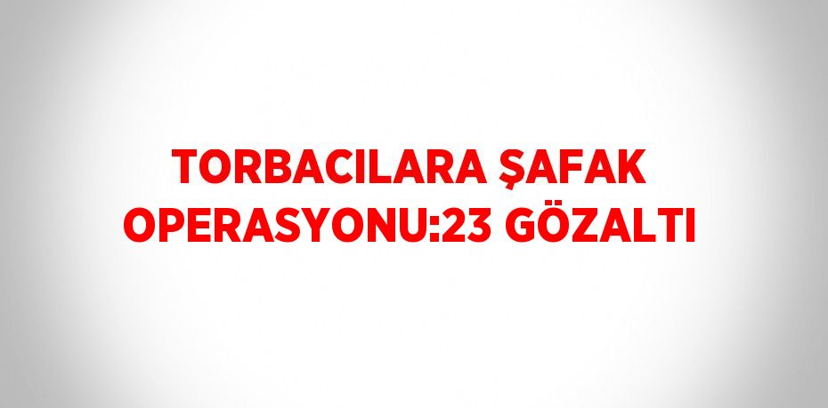 TORBACILARA ŞAFAK OPERASYONU:23 GÖZALTI