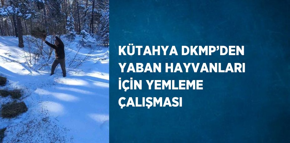 KÜTAHYA DKMP’DEN YABAN HAYVANLARI İÇİN YEMLEME ÇALIŞMASI