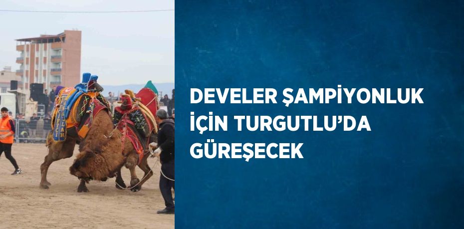 DEVELER ŞAMPİYONLUK İÇİN TURGUTLU’DA GÜREŞECEK