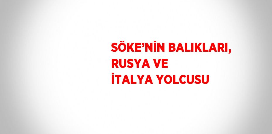 SÖKE’NİN BALIKLARI, RUSYA VE İTALYA YOLCUSU