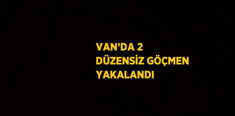 VAN’DA 2 DÜZENSİZ GÖÇMEN YAKALANDI