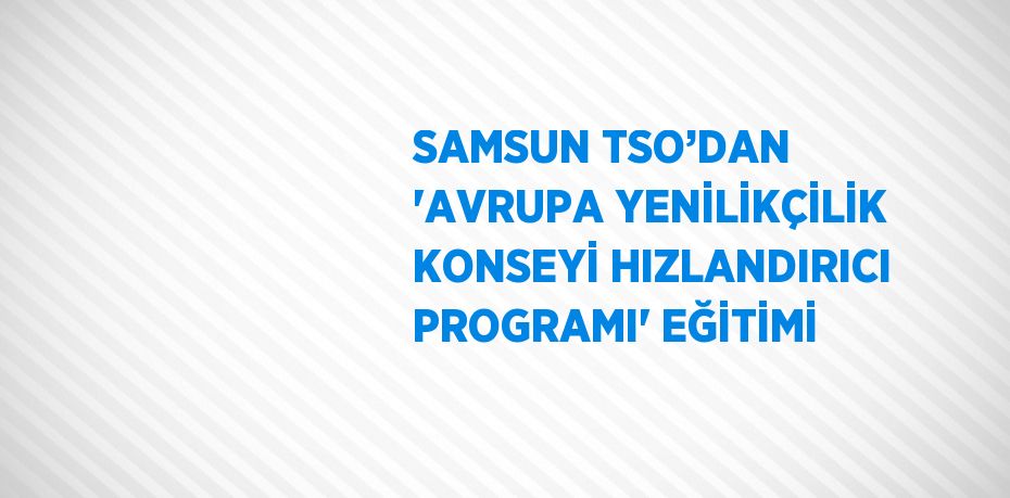 SAMSUN TSO’DAN 'AVRUPA YENİLİKÇİLİK KONSEYİ HIZLANDIRICI PROGRAMI' EĞİTİMİ