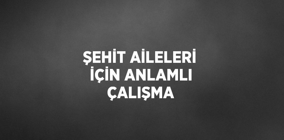 ŞEHİT AİLELERİ İÇİN ANLAMLI ÇALIŞMA