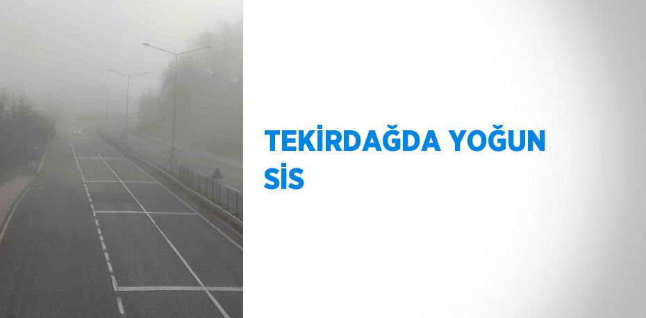 TEKİRDAĞDA YOĞUN SİS