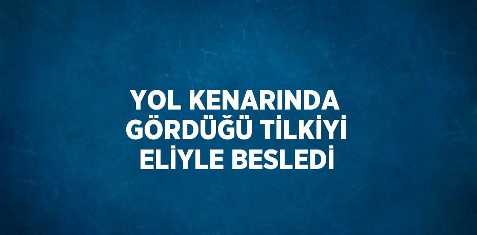 YOL KENARINDA GÖRDÜĞÜ TİLKİYİ ELİYLE BESLEDİ