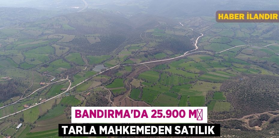 Bandırma'da 25.900 m² tarla mahkemeden satılık