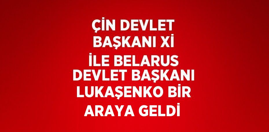 ÇİN DEVLET BAŞKANI Xİ İLE BELARUS DEVLET BAŞKANI LUKAŞENKO BİR ARAYA GELDİ