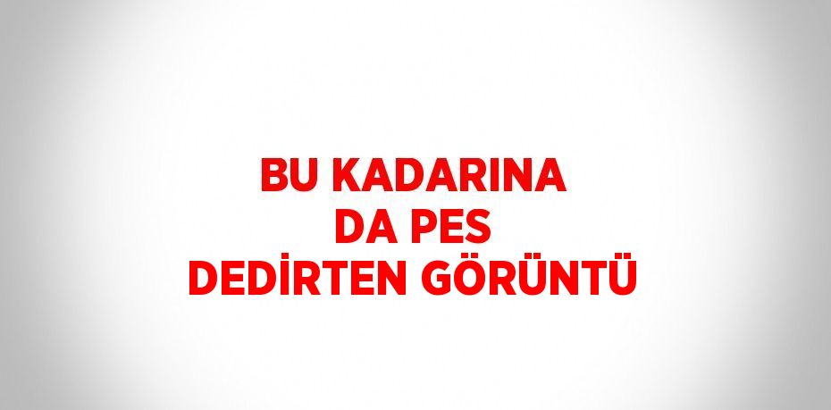 BU KADARINA DA PES DEDİRTEN GÖRÜNTÜ