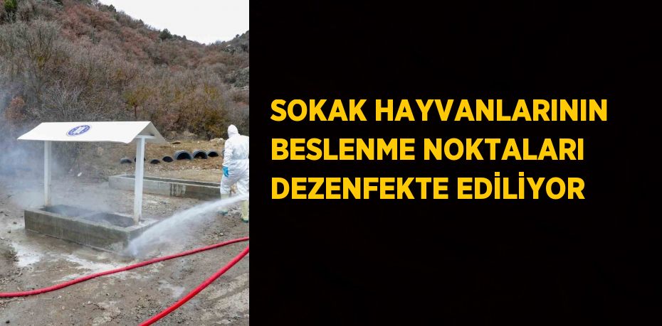 SOKAK HAYVANLARININ BESLENME NOKTALARI DEZENFEKTE EDİLİYOR