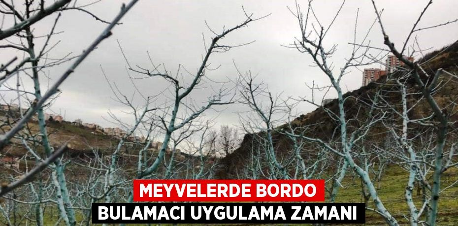 MEYVELERDE BORDO BULAMACI UYGULAMA ZAMANI