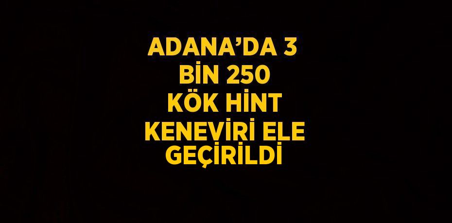 ADANA’DA 3 BİN 250 KÖK HİNT KENEVİRİ ELE GEÇİRİLDİ