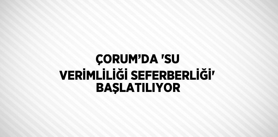 ÇORUM’DA 'SU VERİMLİLİĞİ SEFERBERLİĞİ' BAŞLATILIYOR