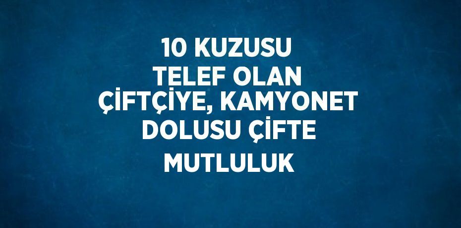 10 KUZUSU TELEF OLAN ÇİFTÇİYE, KAMYONET DOLUSU ÇİFTE MUTLULUK