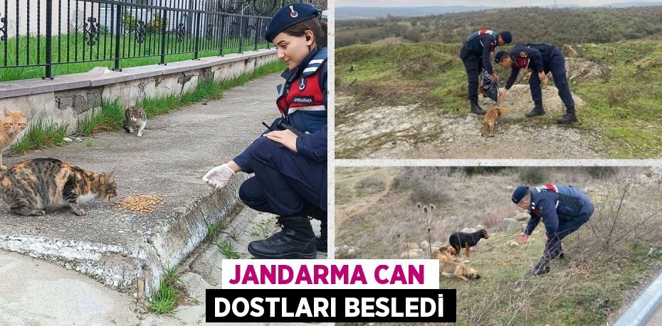 JANDARMA CAN DOSTLARI BESLEDİ