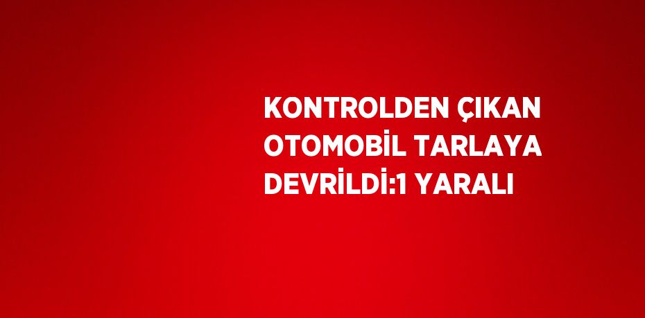 KONTROLDEN ÇIKAN OTOMOBİL TARLAYA DEVRİLDİ:1 YARALI