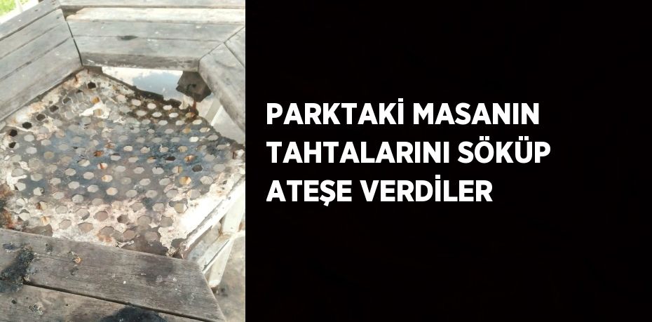 PARKTAKİ MASANIN TAHTALARINI SÖKÜP ATEŞE VERDİLER