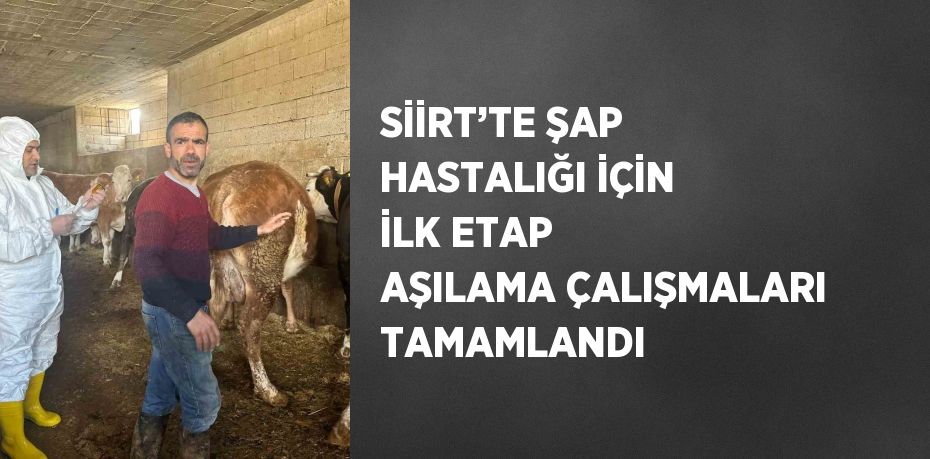 SİİRT’TE ŞAP HASTALIĞI İÇİN İLK ETAP AŞILAMA ÇALIŞMALARI TAMAMLANDI