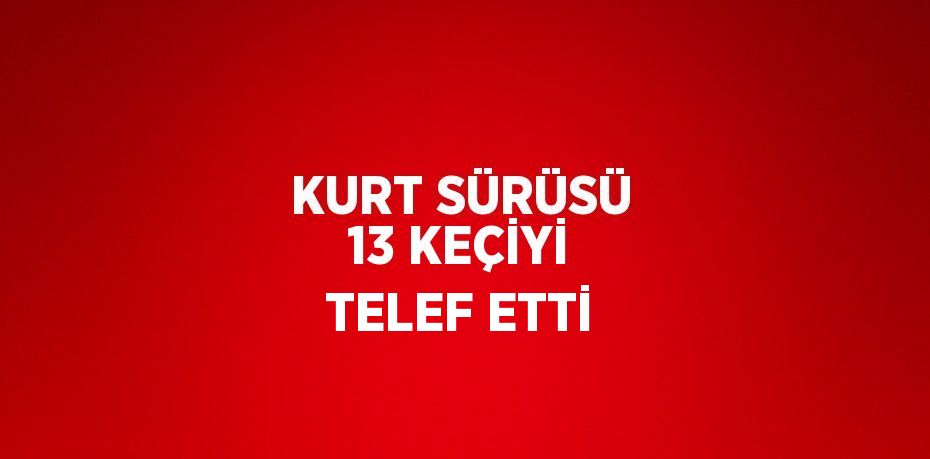 KURT SÜRÜSÜ 13 KEÇİYİ TELEF ETTİ