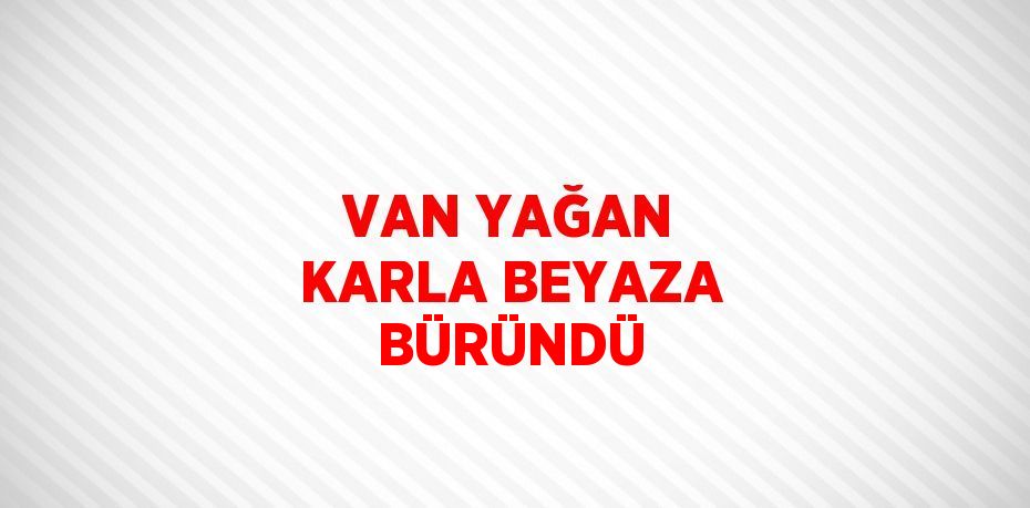 VAN YAĞAN KARLA BEYAZA BÜRÜNDÜ