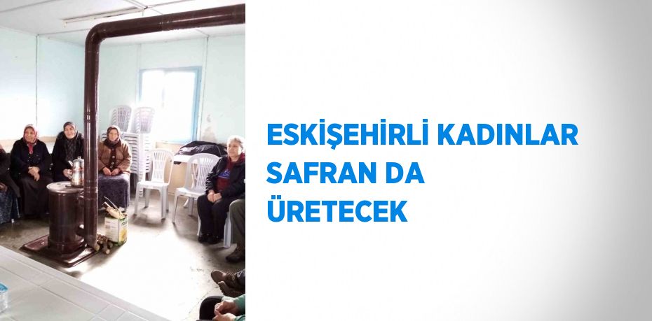 ESKİŞEHİRLİ KADINLAR SAFRAN DA ÜRETECEK