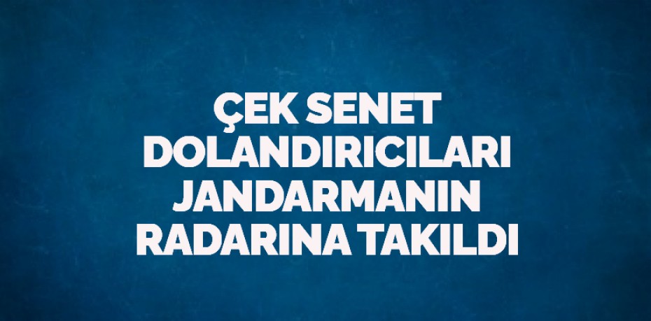 ÇEK SENET DOLANDIRICILARI JANDARMANIN RADARINA TAKILDI