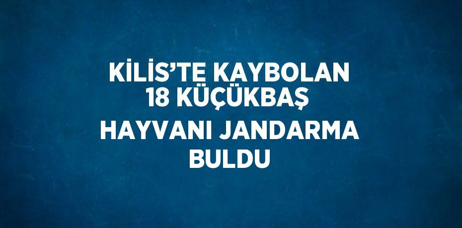 KİLİS’TE KAYBOLAN 18 KÜÇÜKBAŞ HAYVANI JANDARMA BULDU