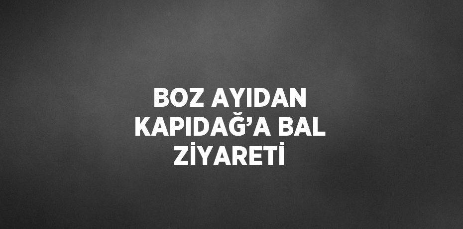 BOZ AYIDAN KAPIDAĞ’A BAL ZİYARETİ