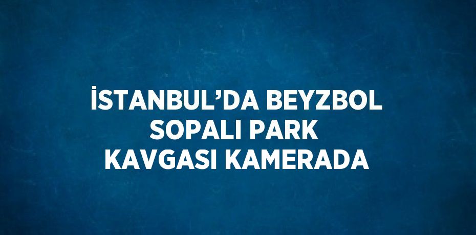 İSTANBUL’DA BEYZBOL SOPALI PARK KAVGASI KAMERADA
