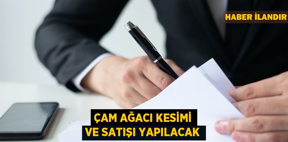 Çam ağacı kesimi ve satışı yapılacak