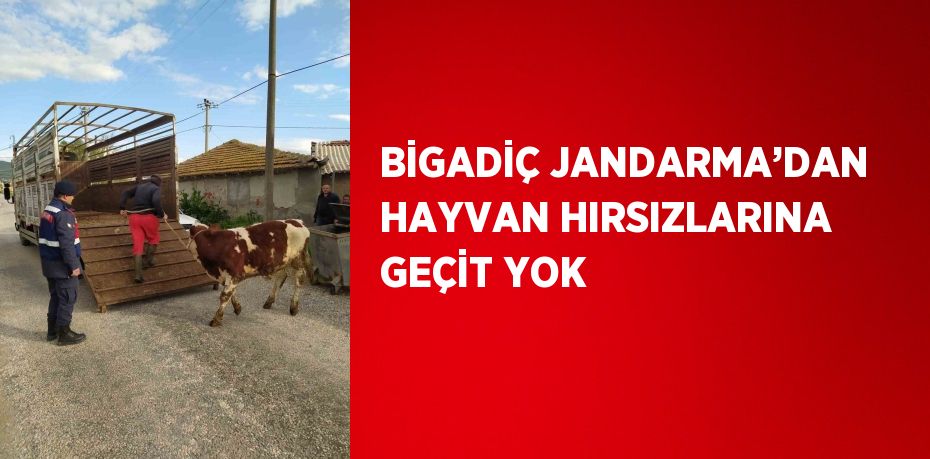 BİGADİÇ JANDARMA’DAN HAYVAN HIRSIZLARINA GEÇİT YOK