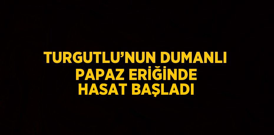 TURGUTLU’NUN DUMANLI PAPAZ ERİĞİNDE HASAT BAŞLADI