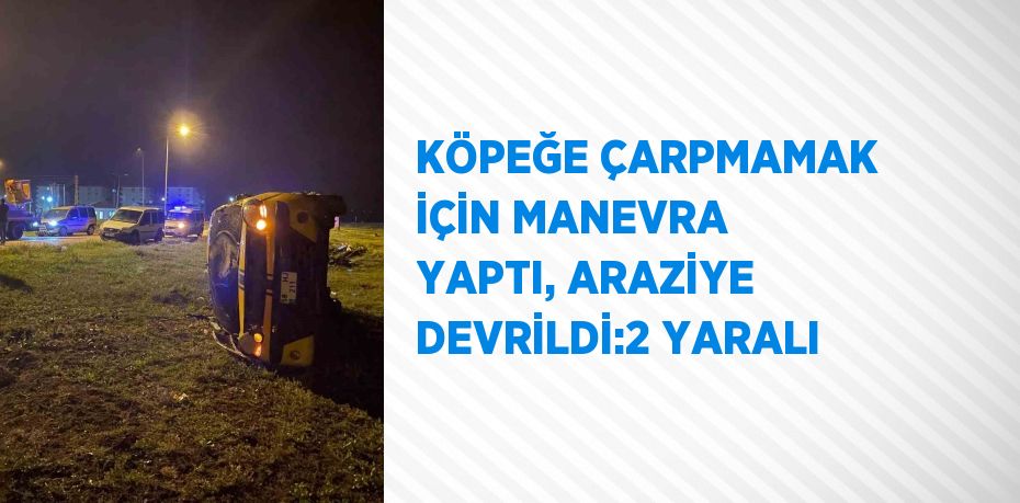 KÖPEĞE ÇARPMAMAK İÇİN MANEVRA YAPTI, ARAZİYE DEVRİLDİ:2 YARALI