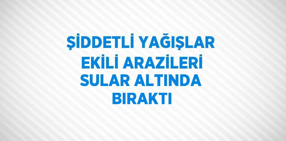 ŞİDDETLİ YAĞIŞLAR EKİLİ ARAZİLERİ SULAR ALTINDA BIRAKTI