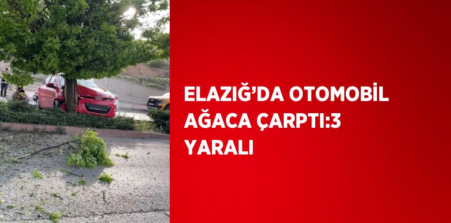 ELAZIĞ’DA OTOMOBİL AĞACA ÇARPTI:3 YARALI